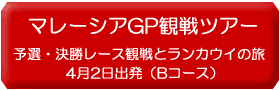 F1観戦ツアー、2010年マレーシアGP観戦ツアーとランカウイ島を旅する7日間Bコース